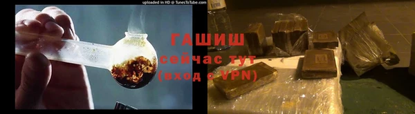 стаф Великий Новгород