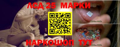 крисы Кунгур