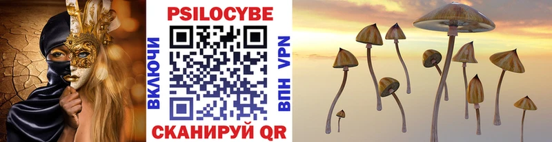 где купить   ОМГ ОМГ зеркало  Псилоцибиновые грибы Psilocybine cubensis  Евпатория 